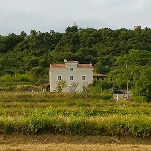 Flora Sečovlje